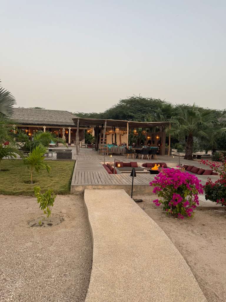 A serene outdoor wedding setup with white chairs arranged on green grass under a canopy of trees.