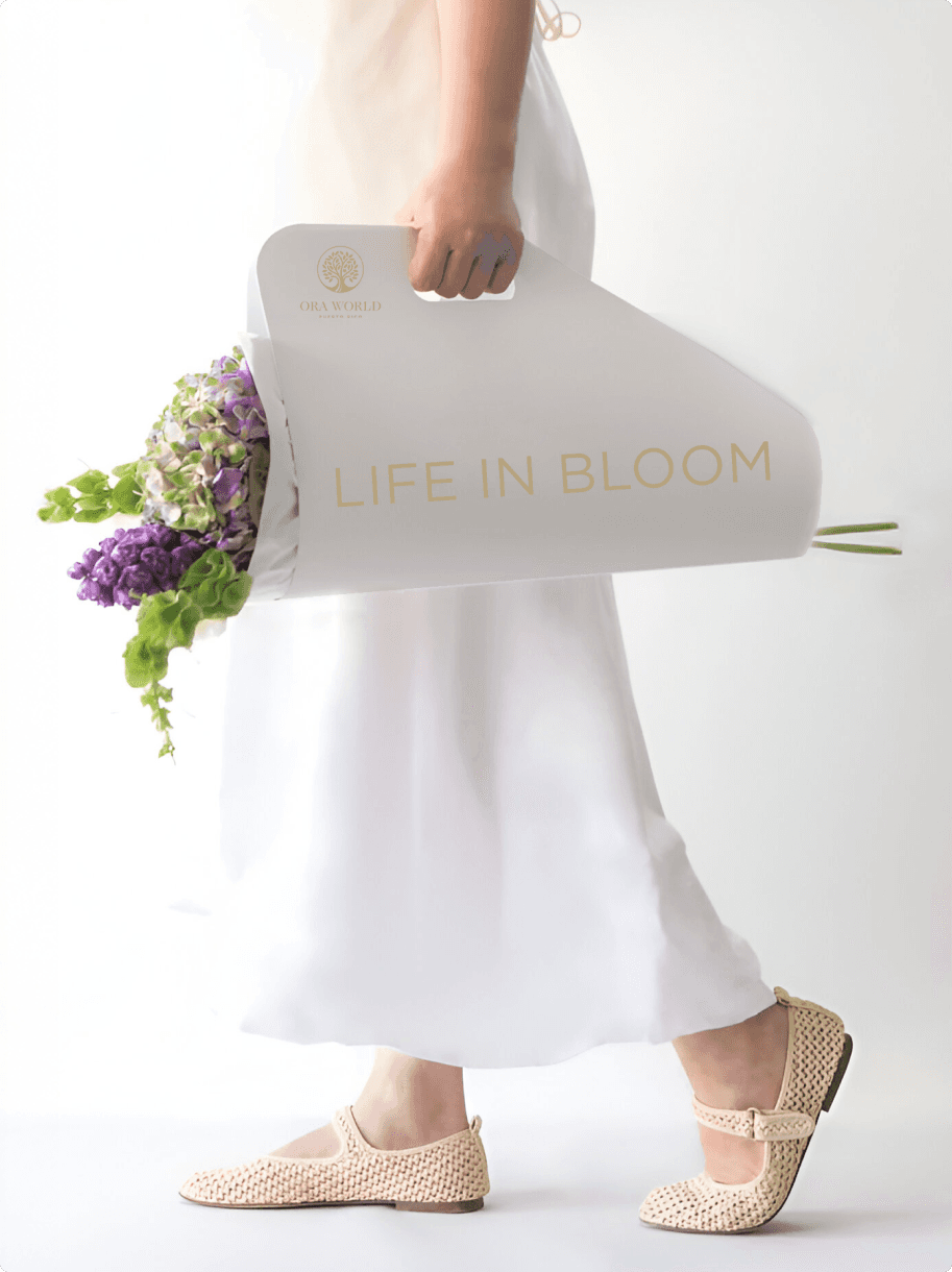 Dom Pérignon vineyards from the sky