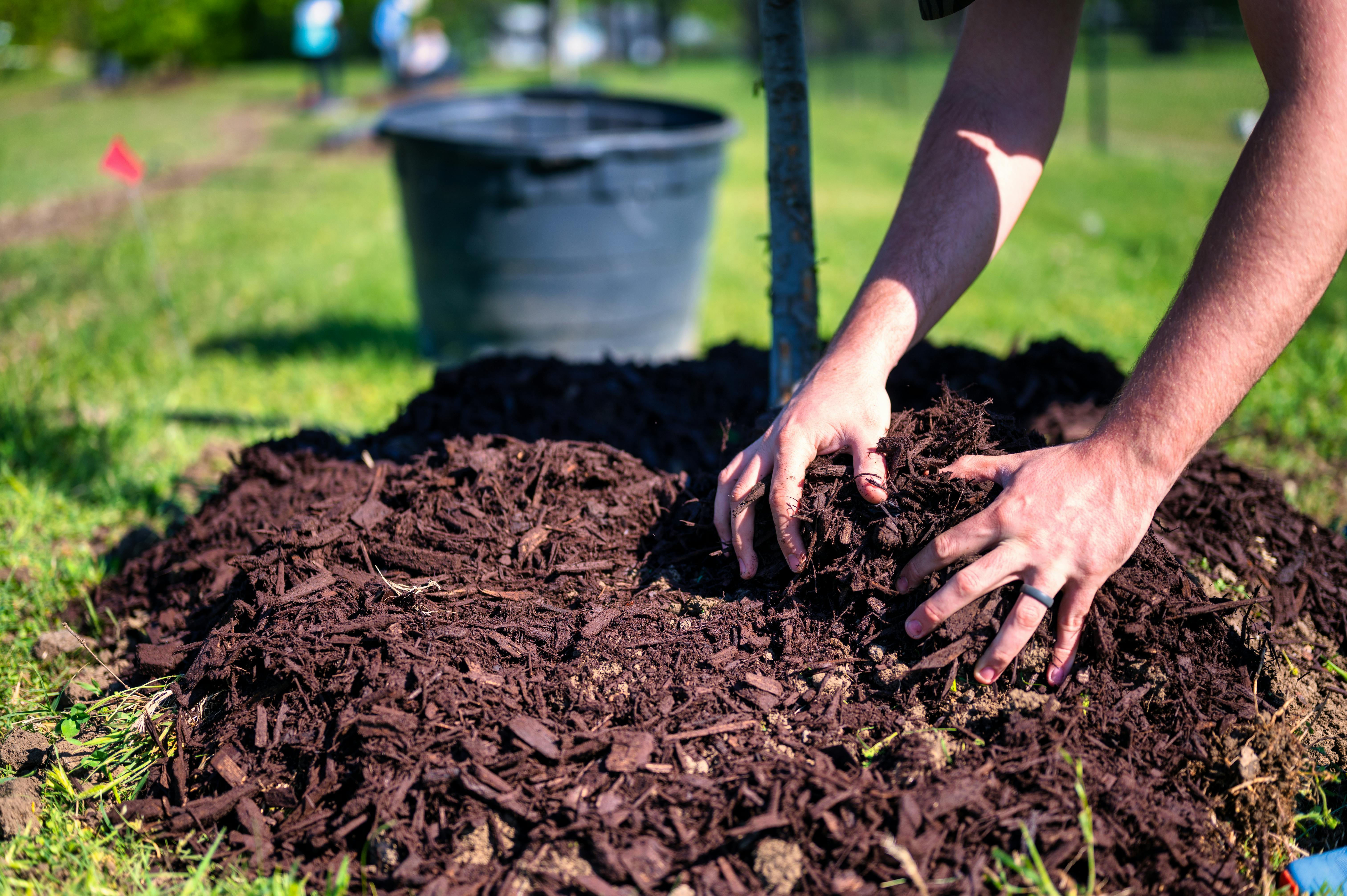 mulch