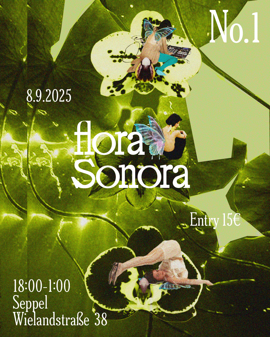 Flora Sonora Nº1 Main Poster