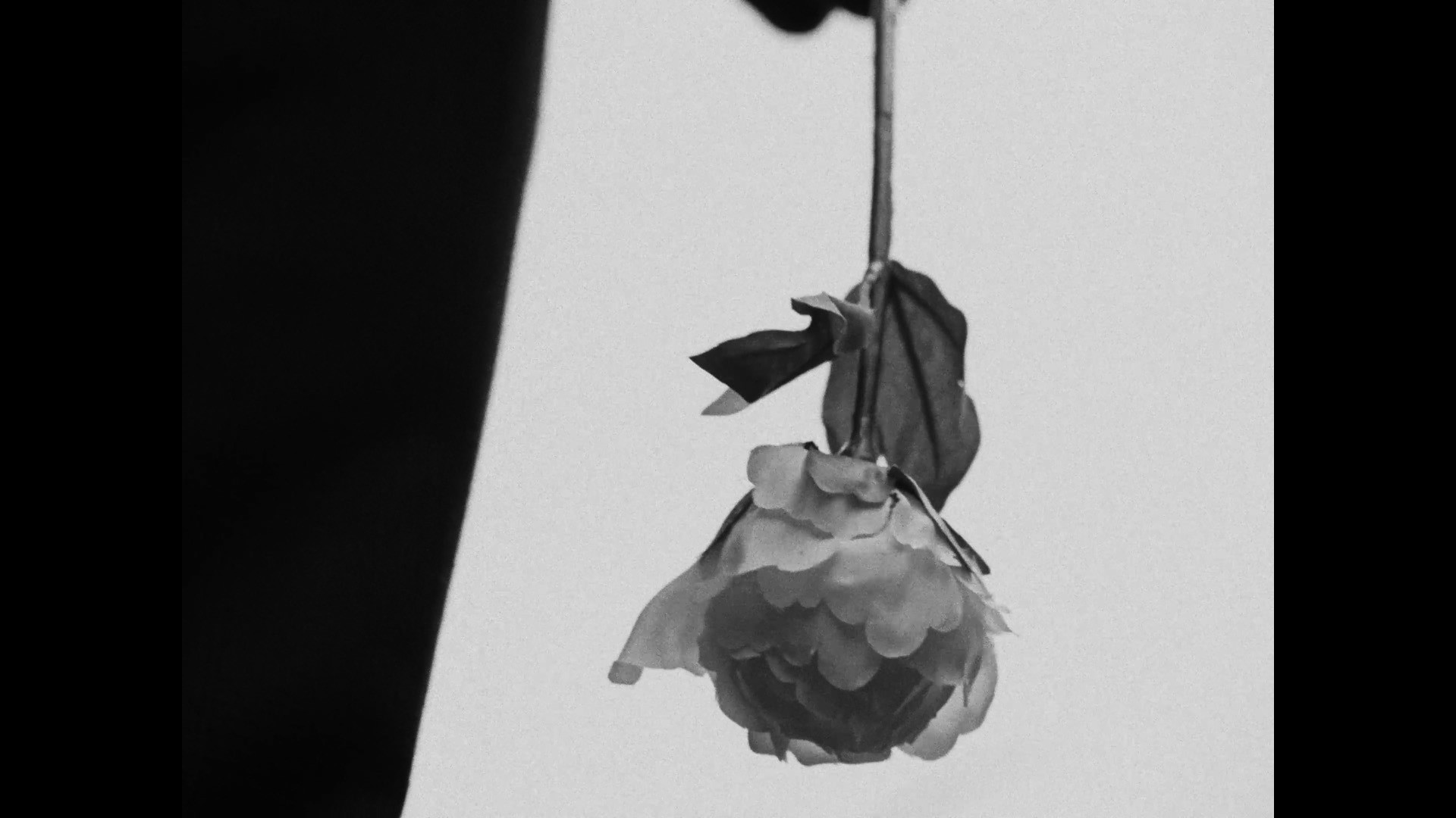 Sam Coombes DOP - Unjust Sweet Sixteen Still Image 3