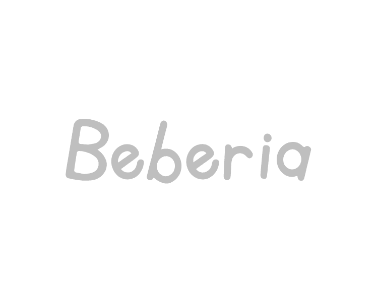 Nguyen Tan Toàn UX/UI Product Designer - Beberia