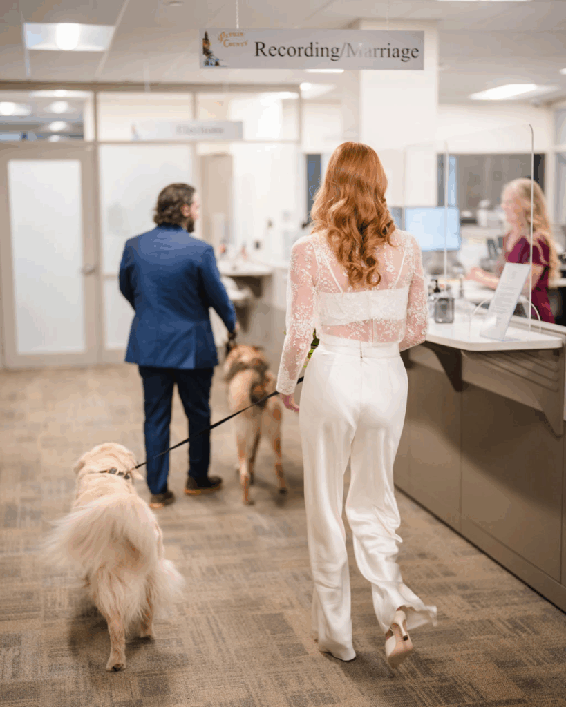 Newlyweds walking two dogs through a lobby