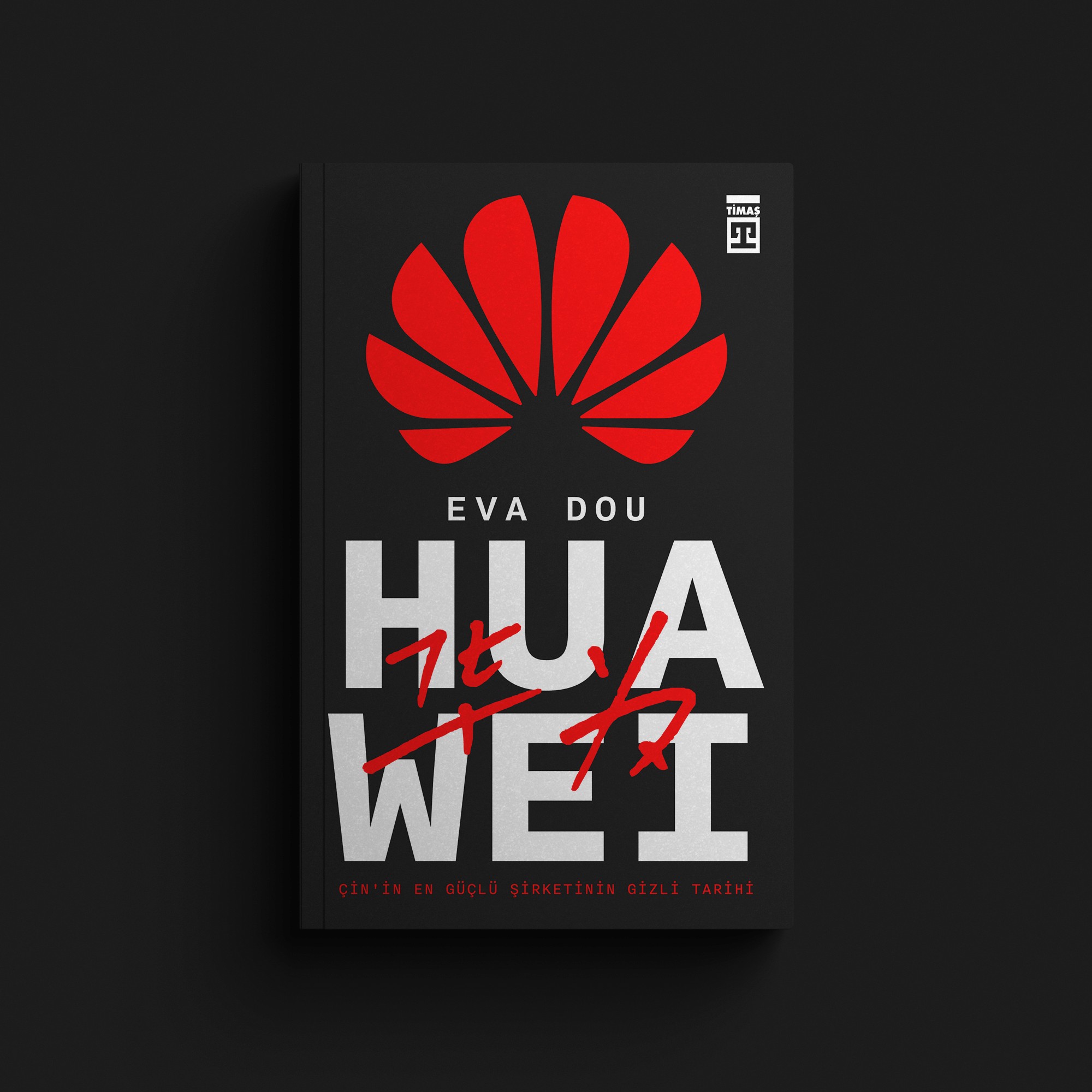 Woman In The Glass Way