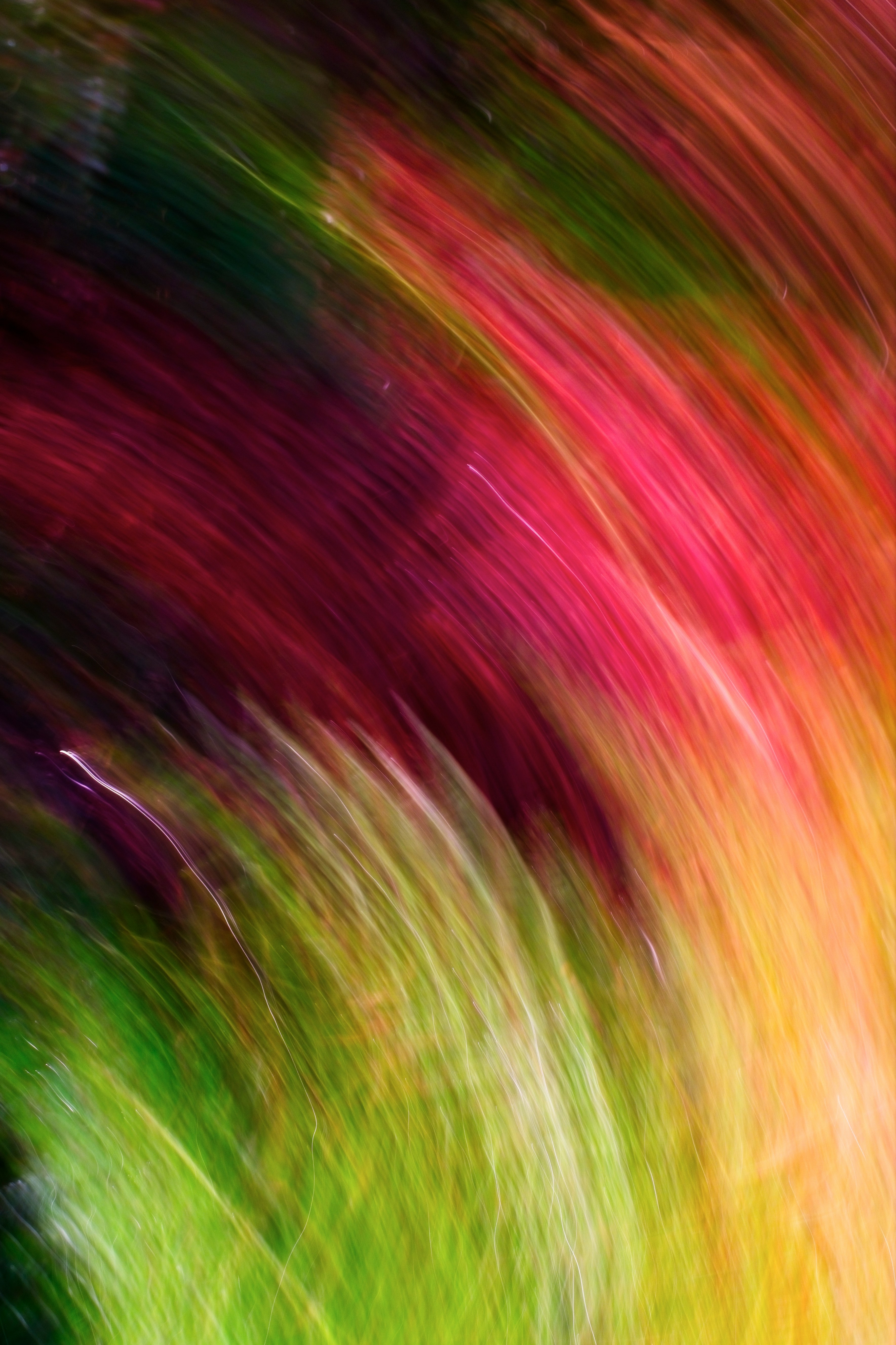 A blurry photo of a vase with flowers in it