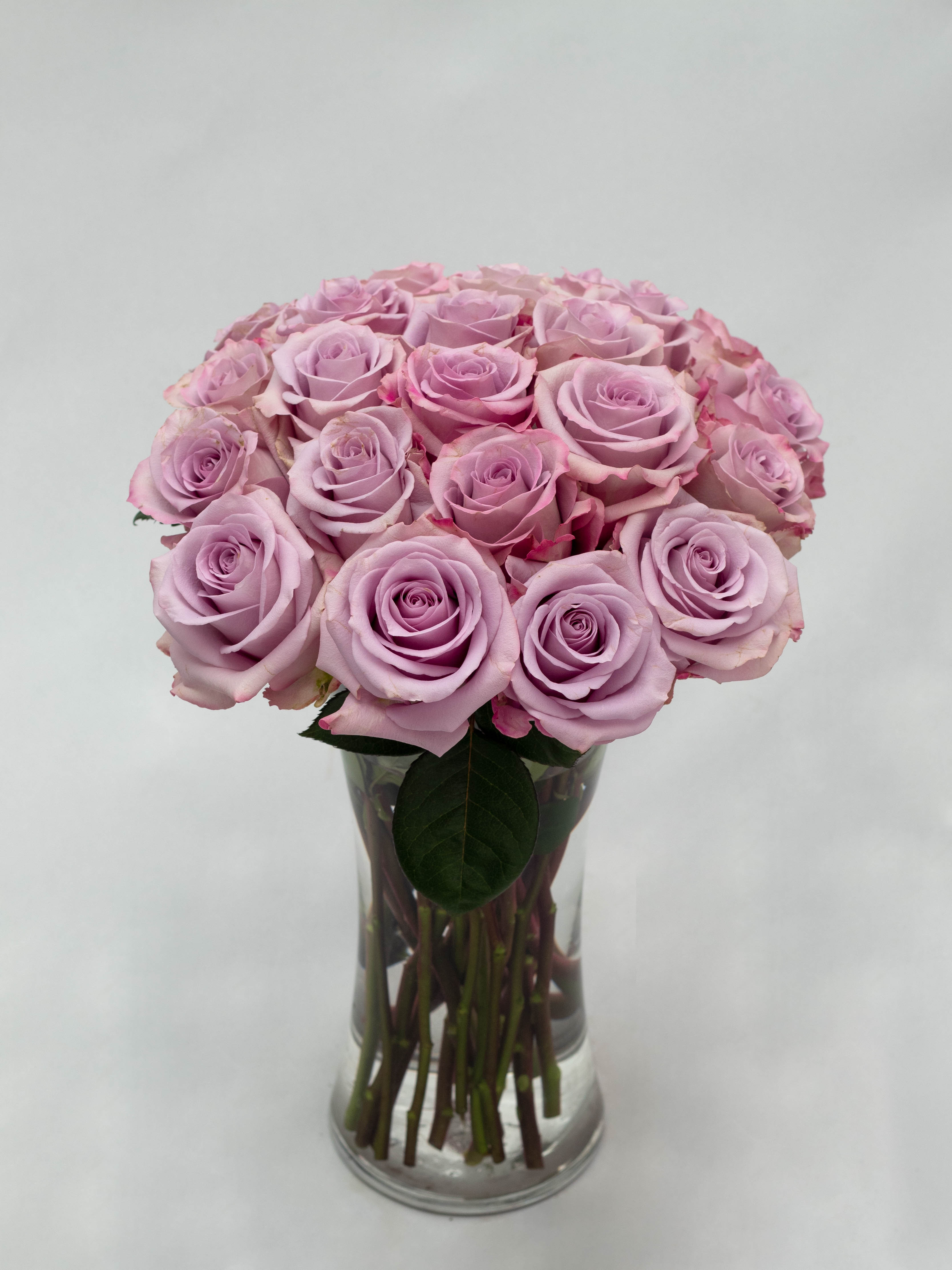 Image of Scandinavian living room