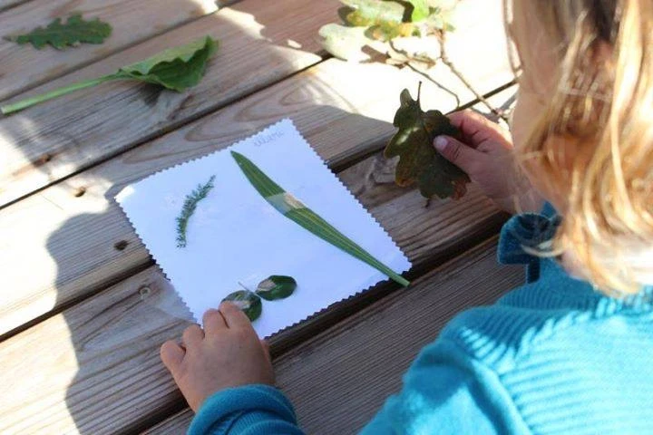 atelier-scientifique-association-la-belle-verte