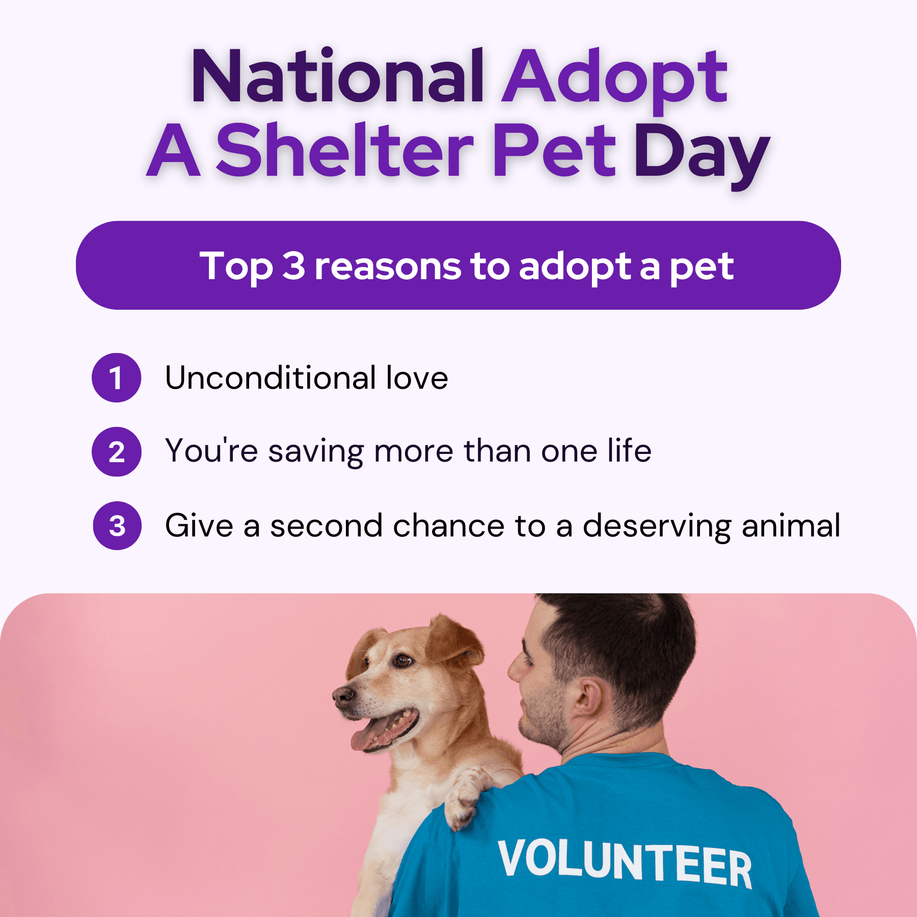 National Adopt a Shelter Pet Day social graphic
