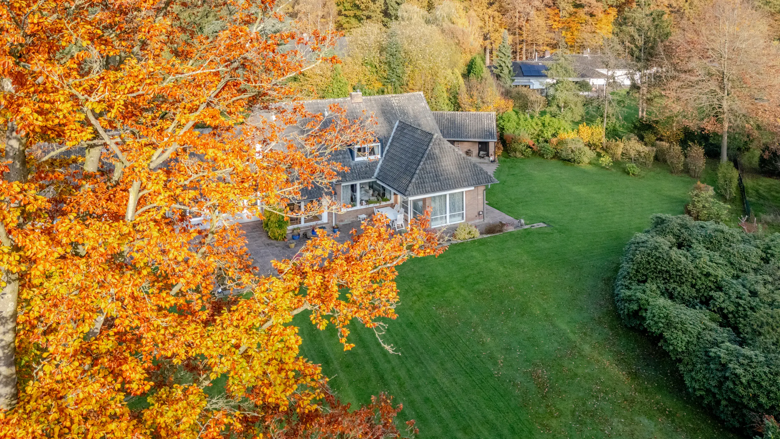 Luftaufnahme der Gartenseite eines Einfamilienhauses mit Einliegerwohnung in Bad Bentheim, großzügiger Rasen und Baumbestand.