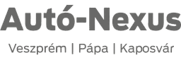 Auto Nexus Logo