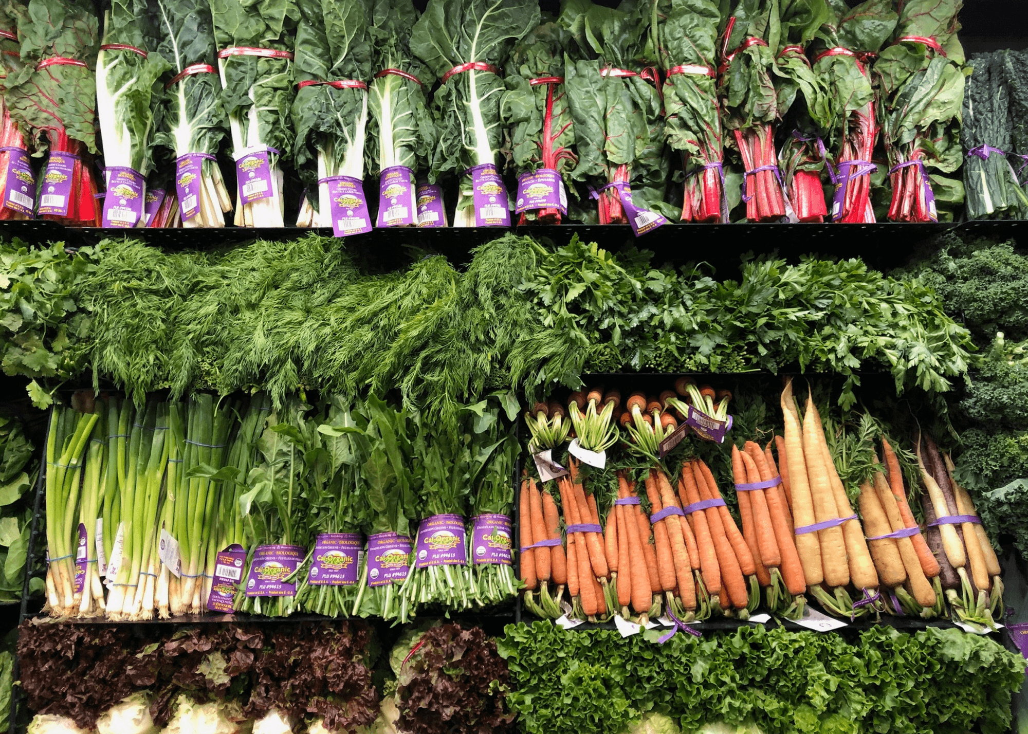 losing weight calorie deficit