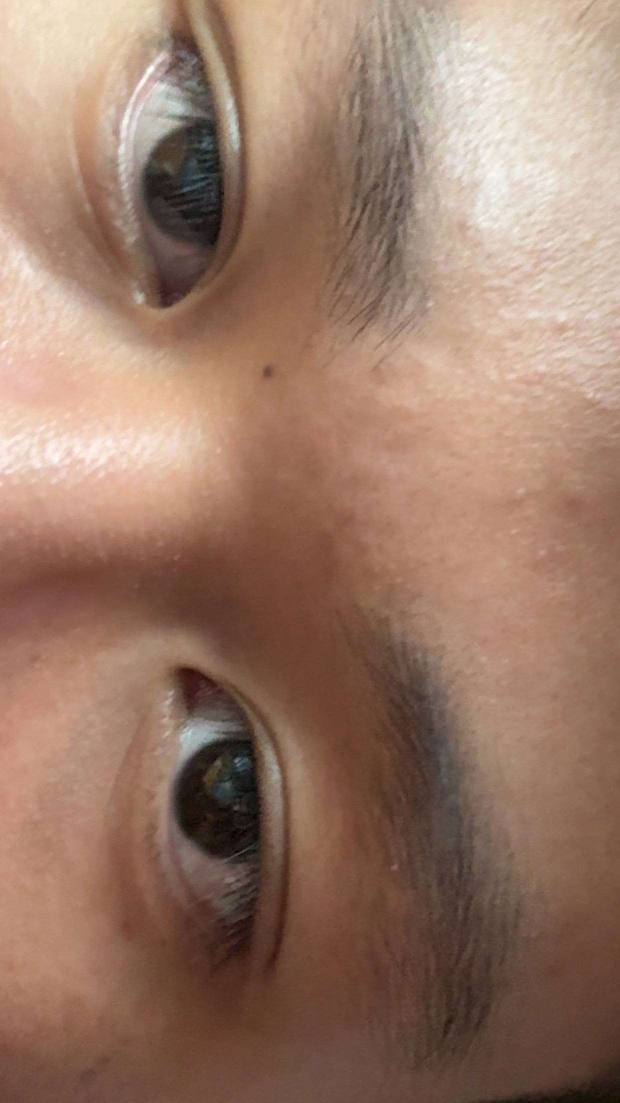 Portfolio Creator Avatar