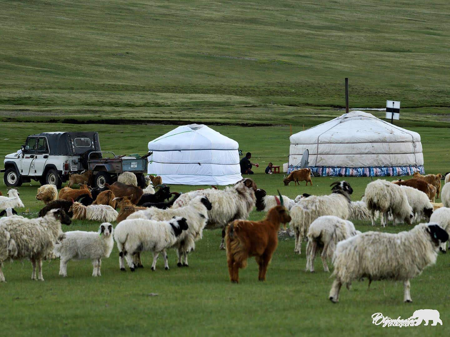 green grass field near white concrete building during daytime