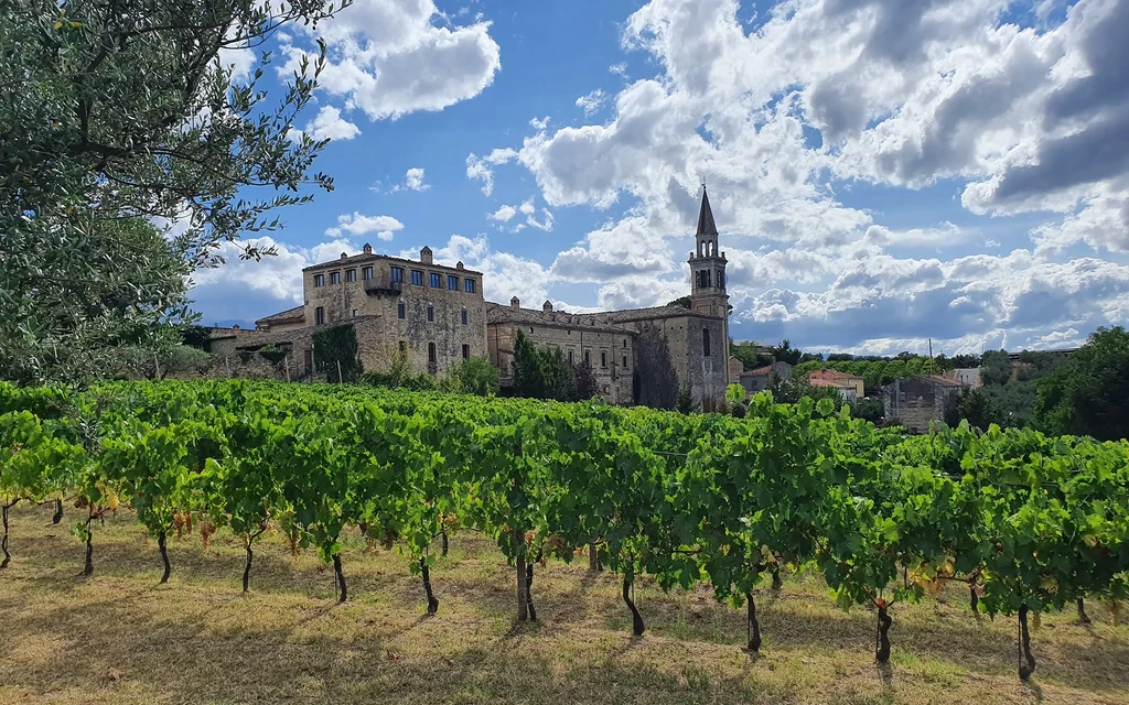 Vinranker i byen Castello di Semivicoli, Abruzzo, Italia | Expa Travel