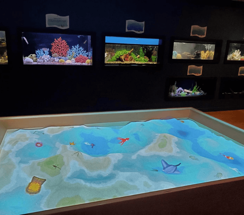 Dive into the Marine Life Gallery and discover diverse ocean ecosystems.