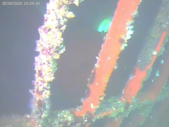 Underwater view of the forward starboard thruster grating