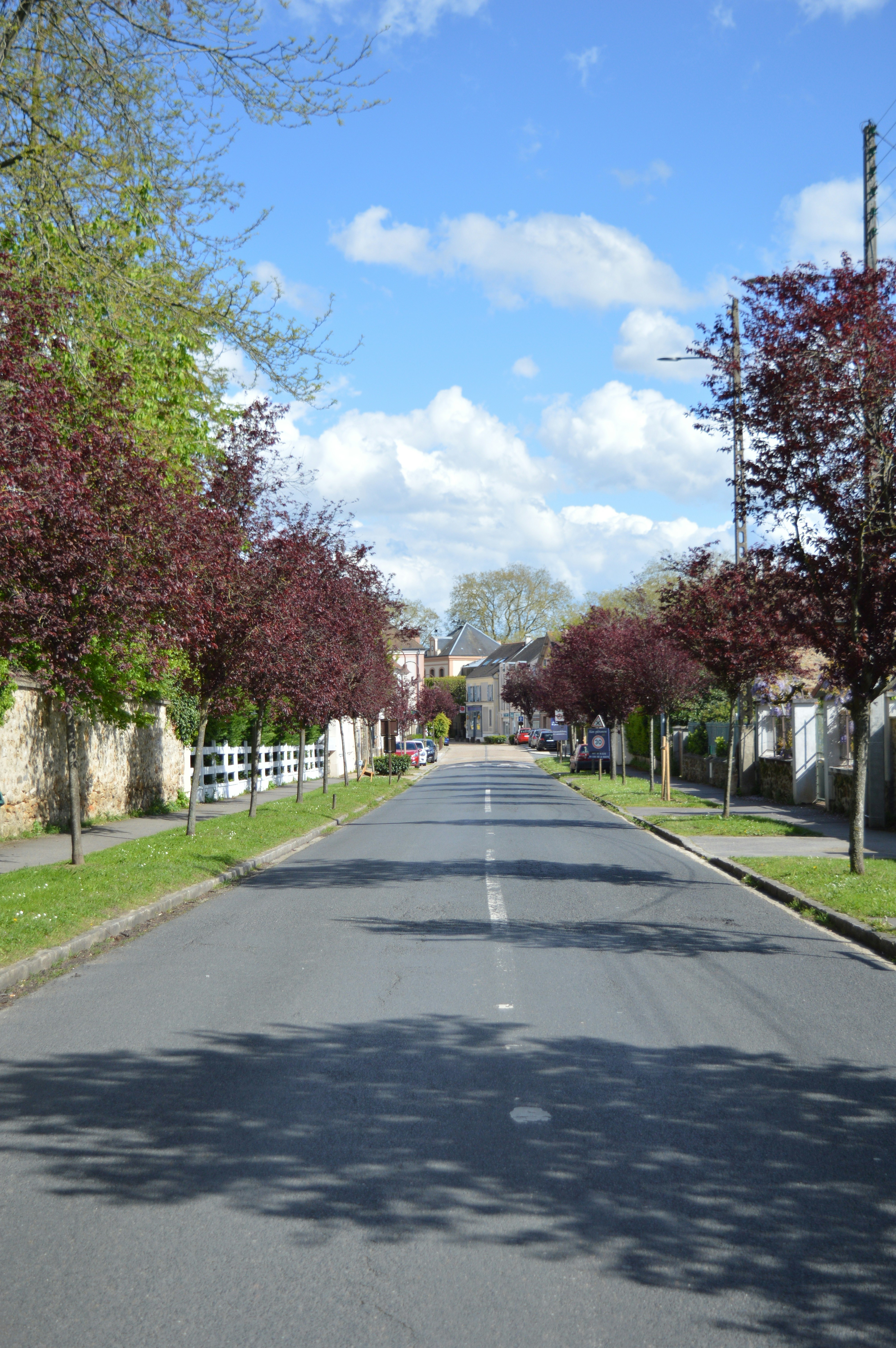 a street lined with lots of trees and houses