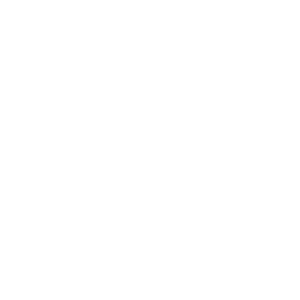 Logo Salfa