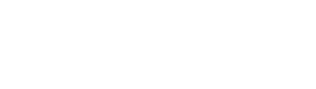 Sarika Technology