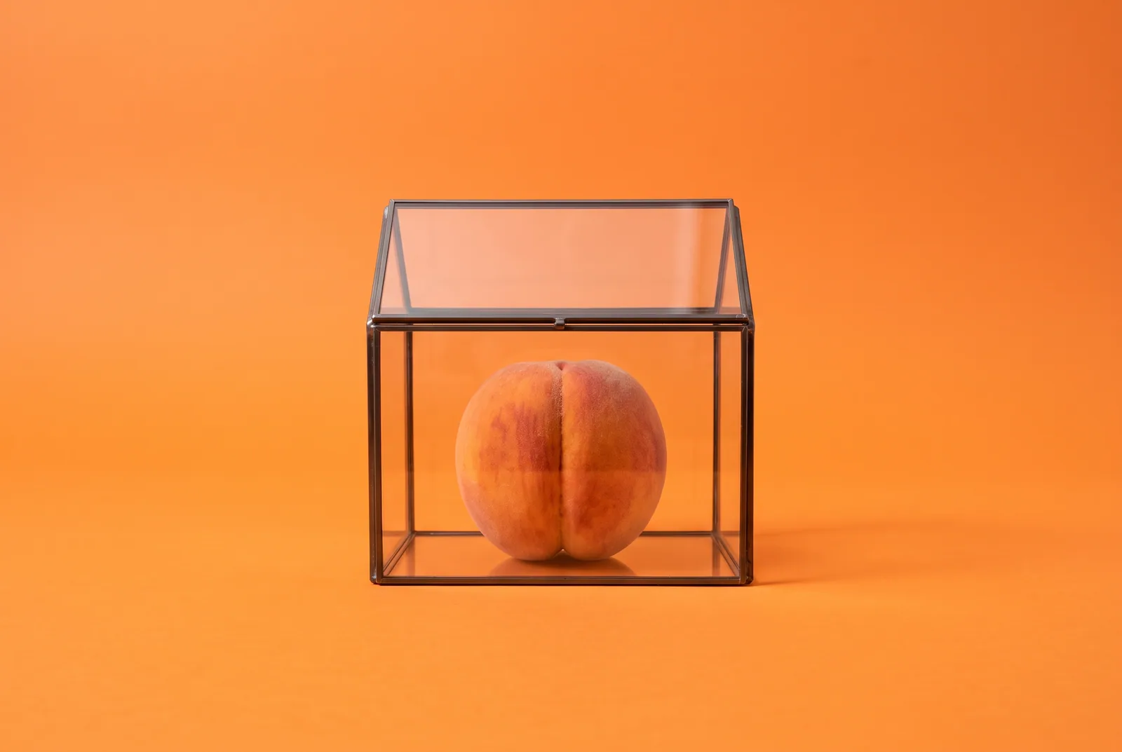 A peach inside a small clear glass greenhouse, an Ever Accountable review for QUITTR vs Ever Accountable