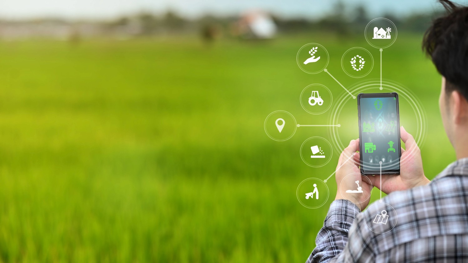 man using phone for farm management