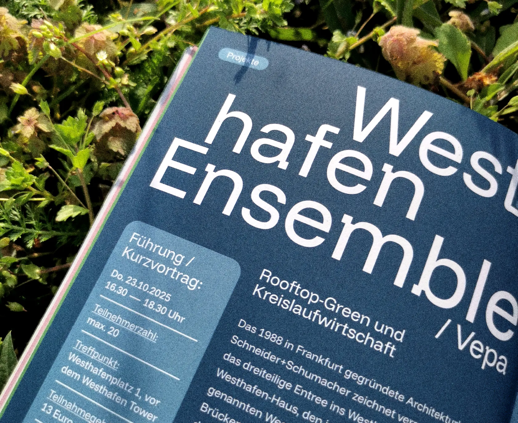 Editorial Design Typografie Detail Westhafen Ensemble Broschüre Frankfurt