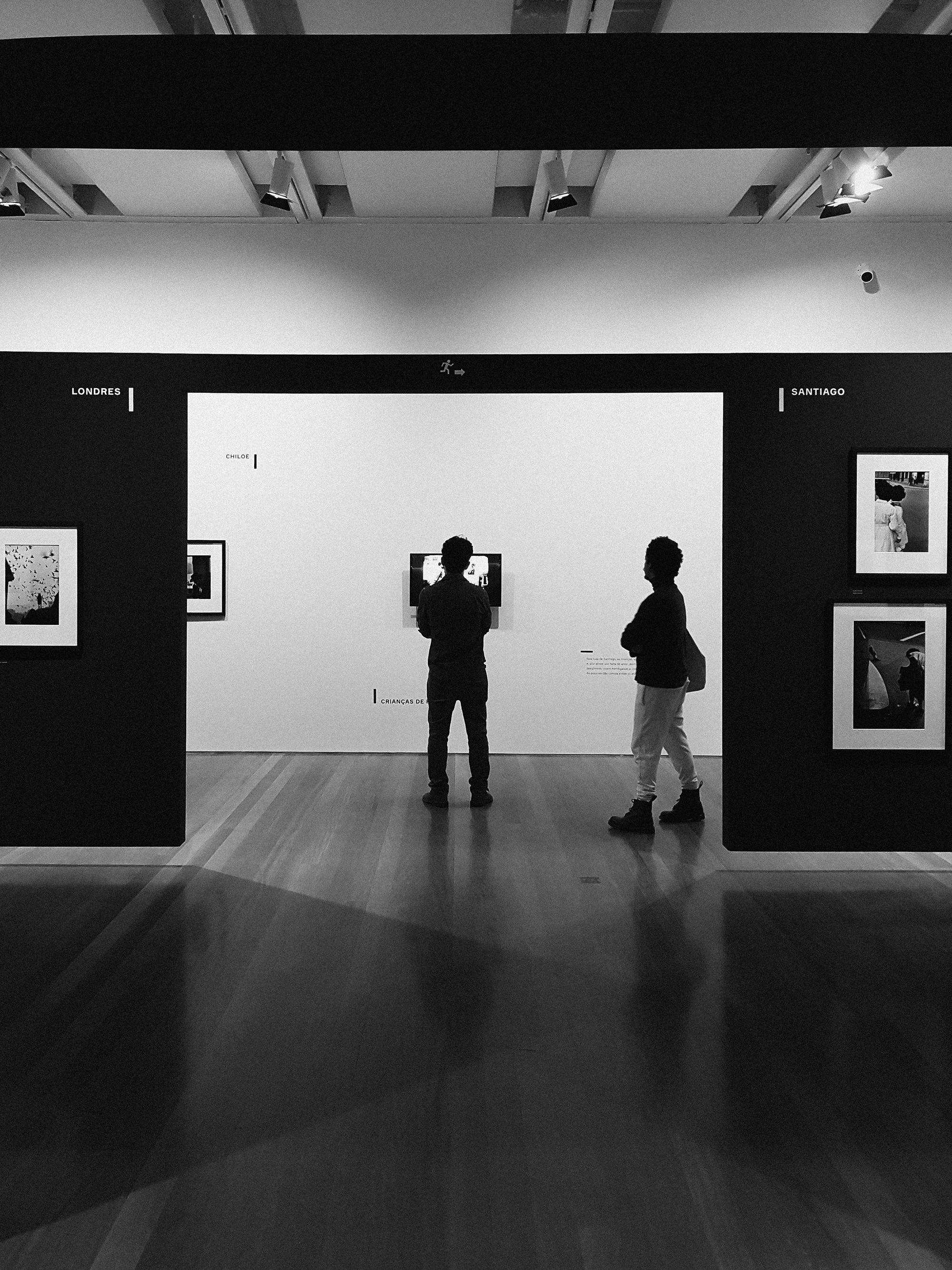 Art in Motion