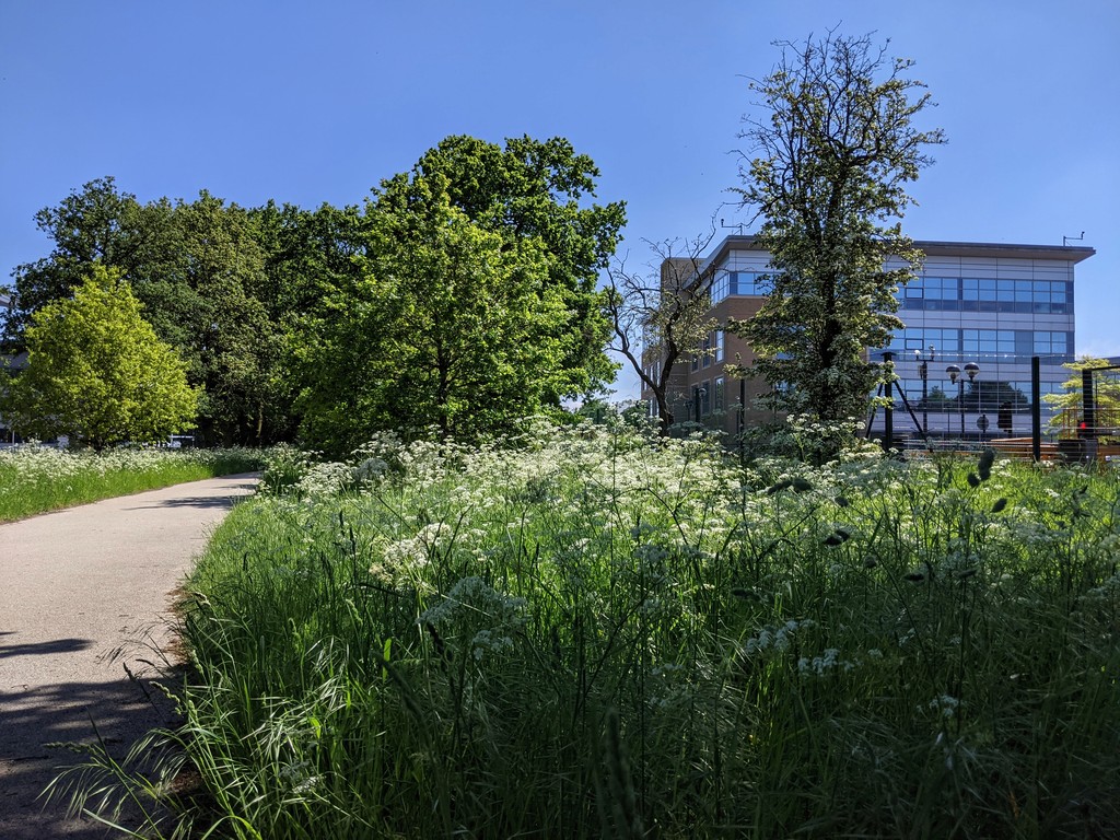 Business Park Connectivity