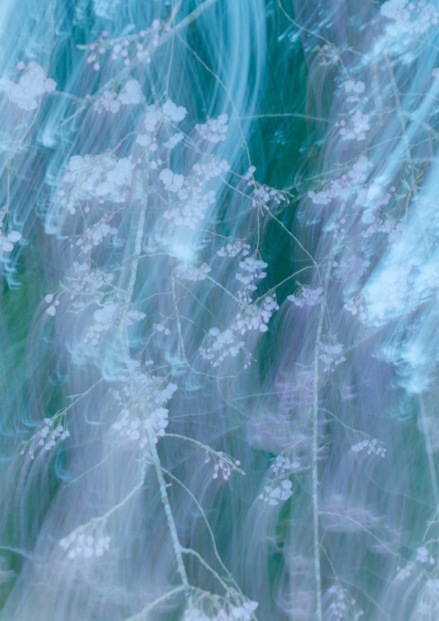 Taisei Matsumoto, 2023 exhibition work 006
