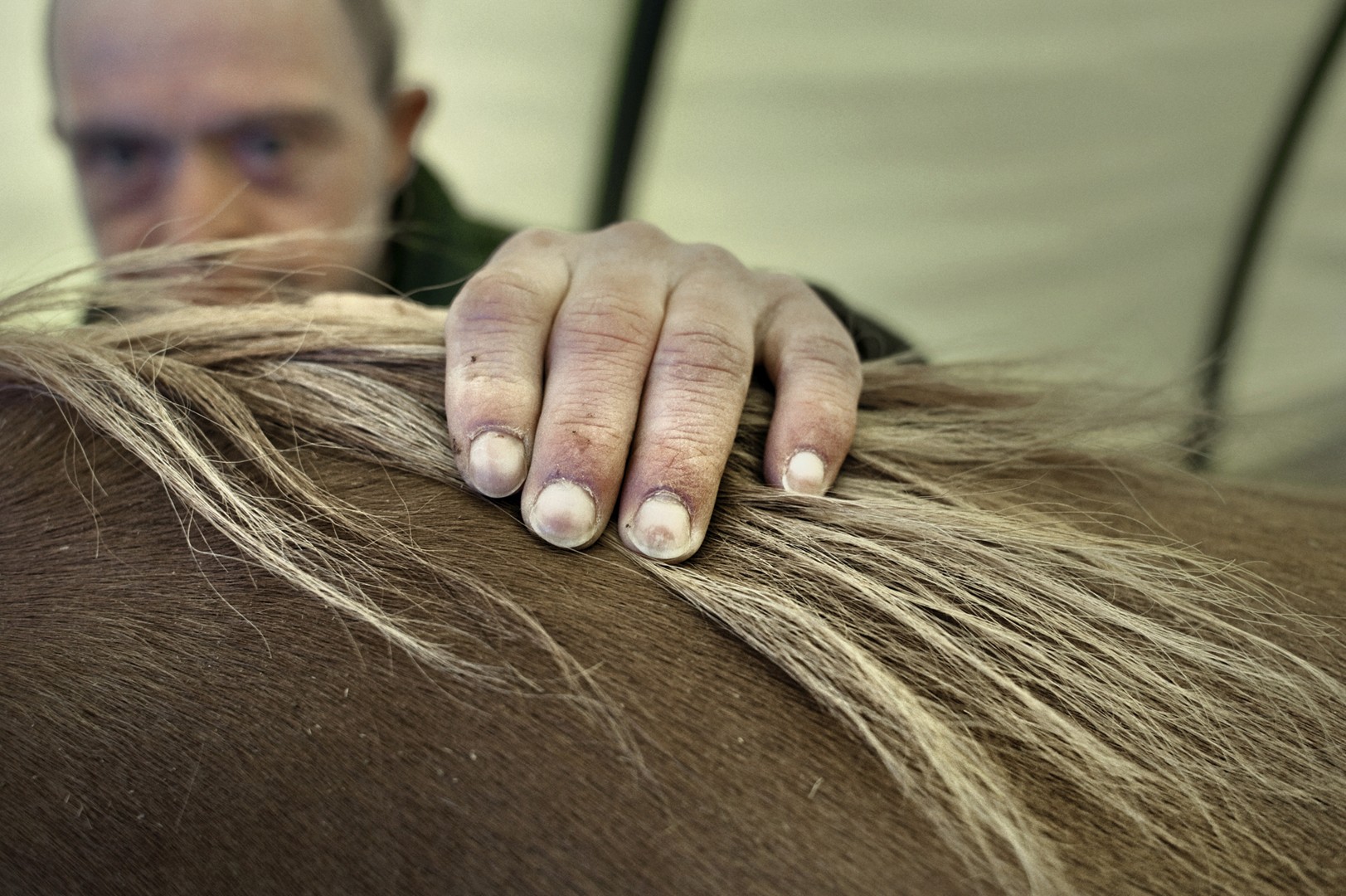 Tanya – Youth Disorder – looking upward while holding onto a metal frame, cropped top and expressive gaze