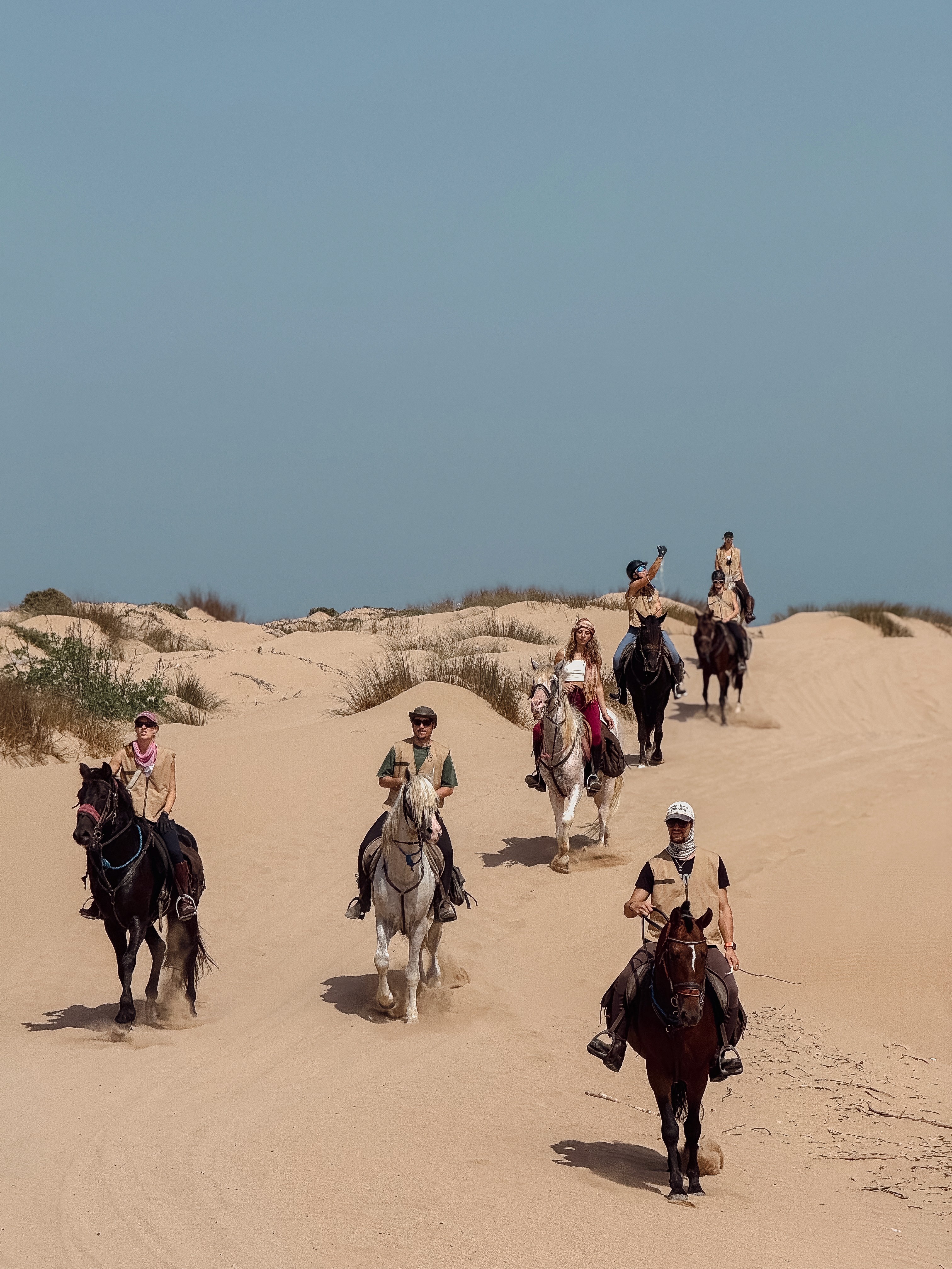 Horse Retreat