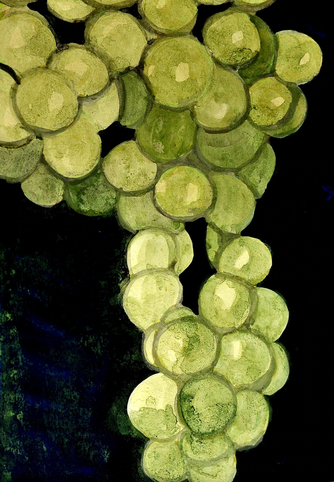 Früchte 57