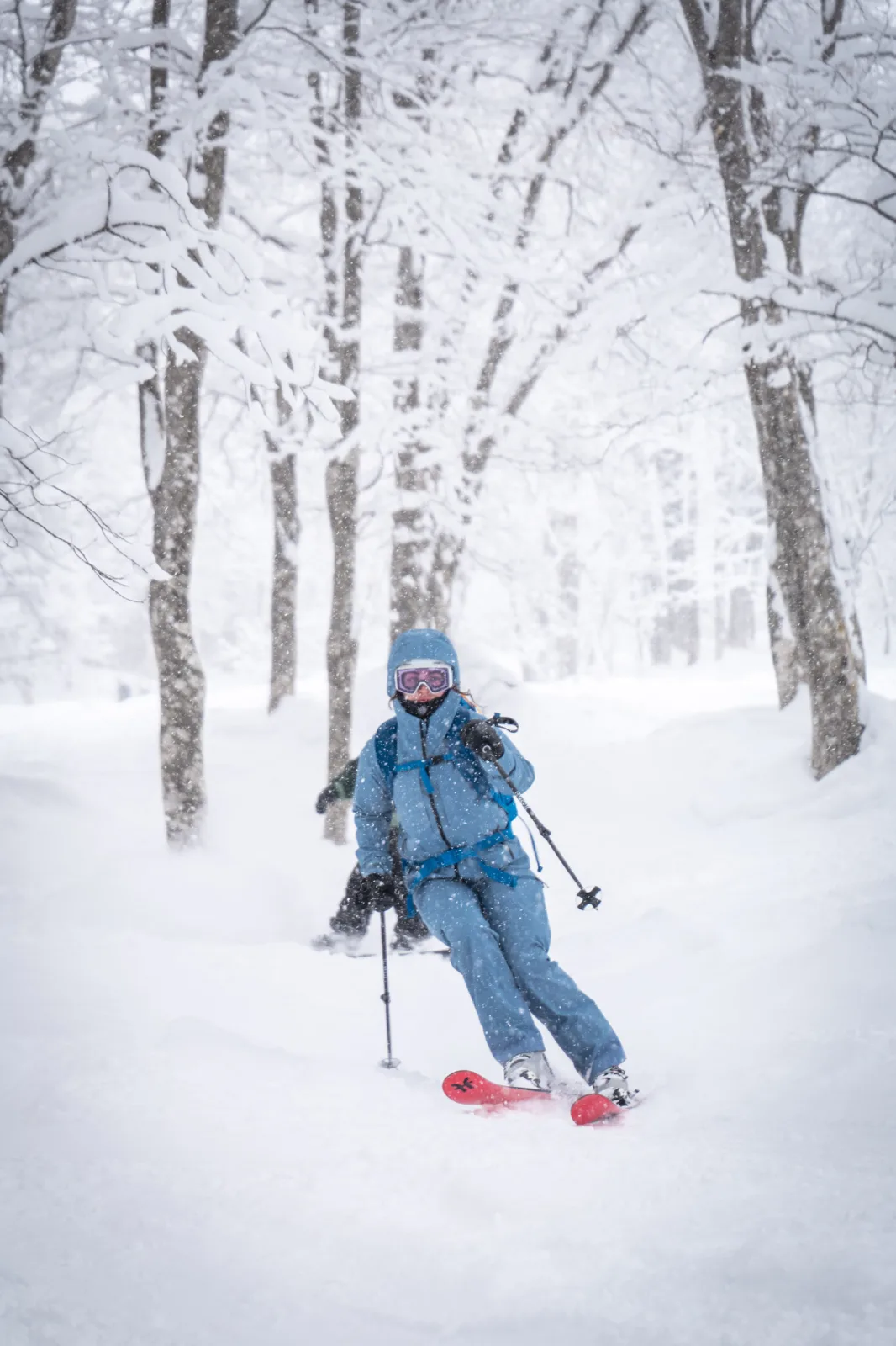 Deep powder turn between trees during snowfall in Myoko