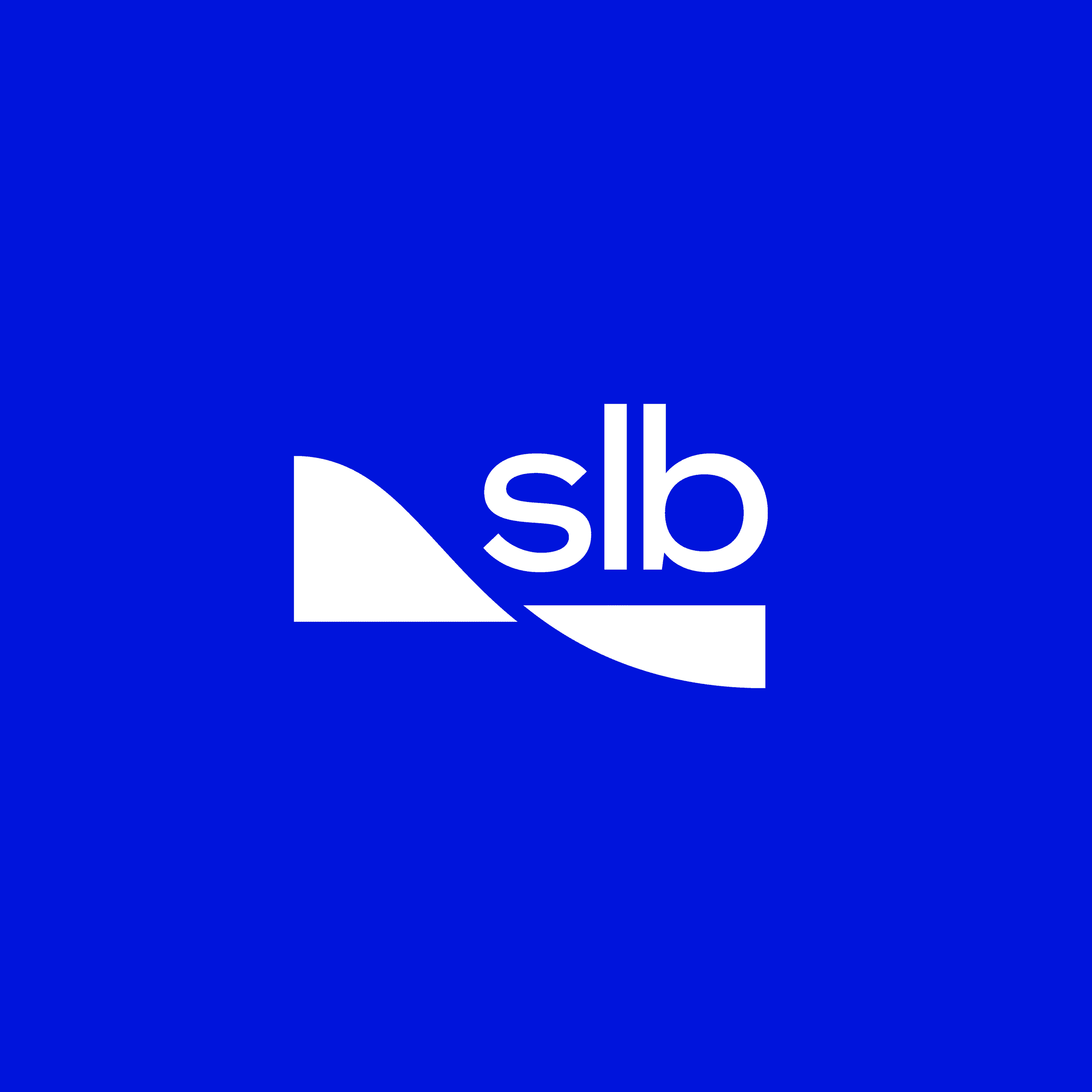 large leaf of a tropical plant