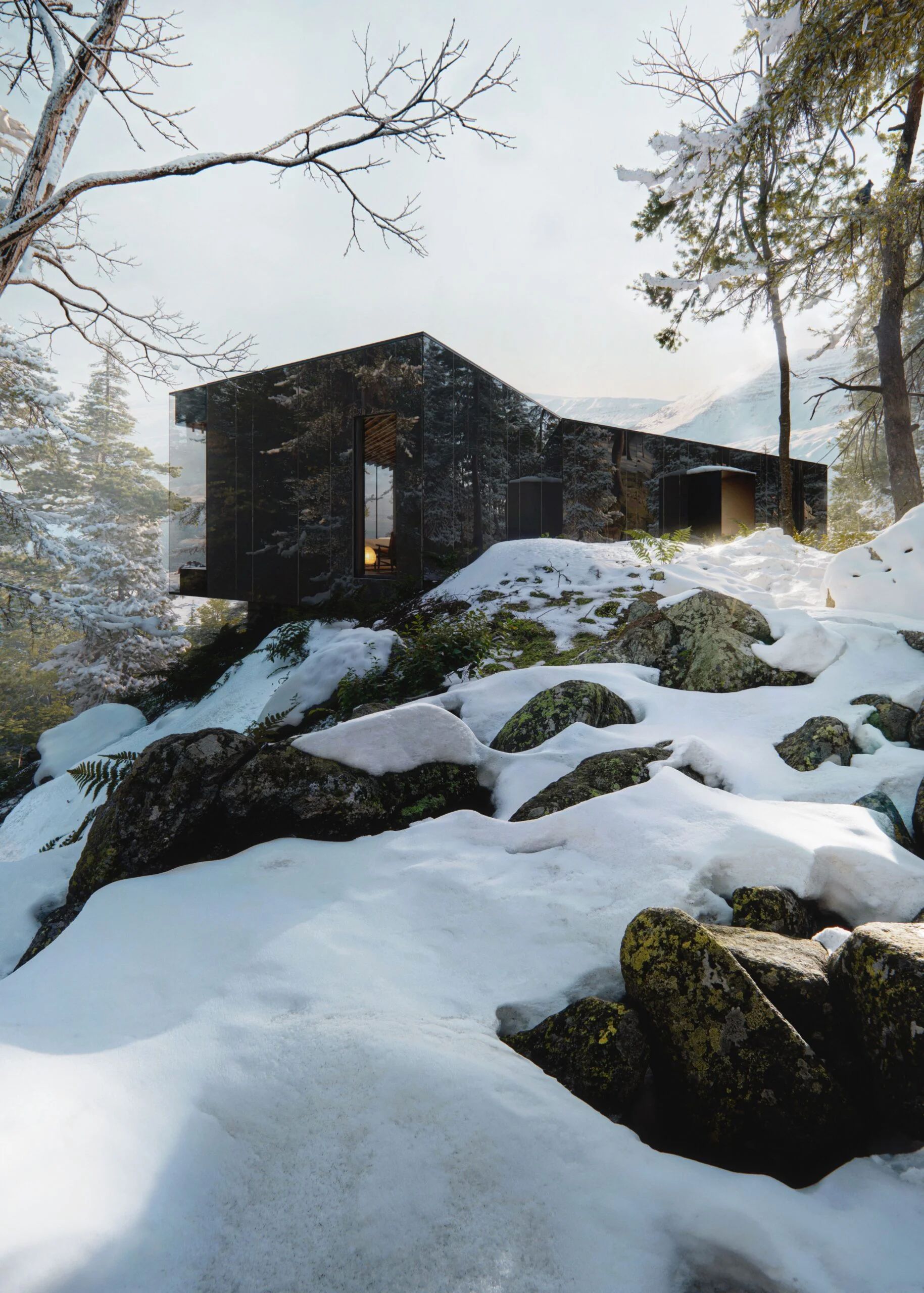 mckeen homes | black tusk whistler new construction