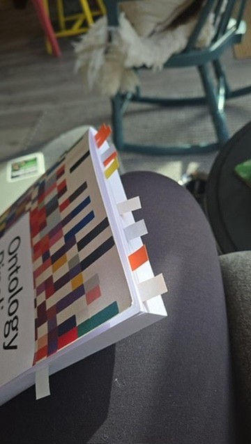 Ontology Pipeline book moment 66.