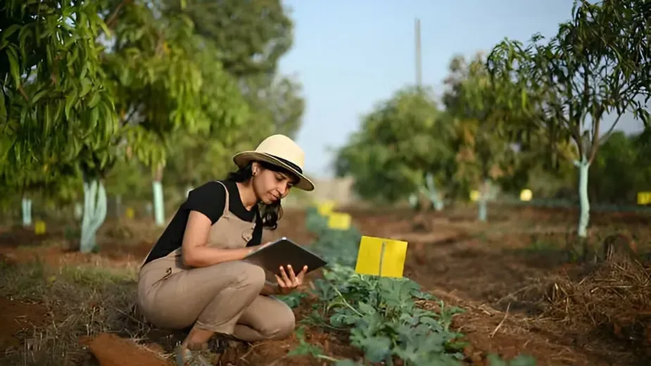 Organic Farming For Sustainable Agriculture&nbsp;.webp