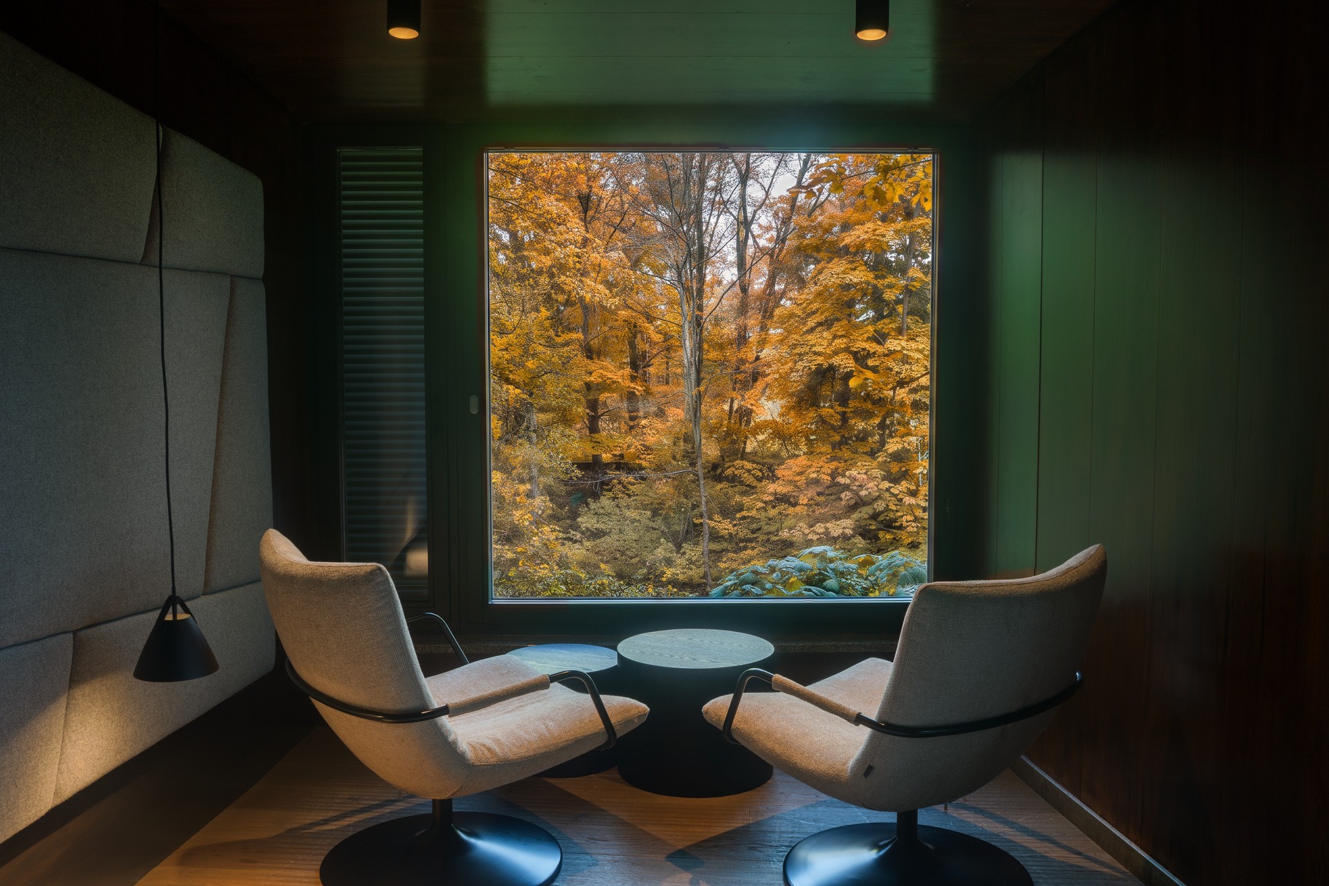 Blick aus dem Baumhaus auf den bunten Herbstwald