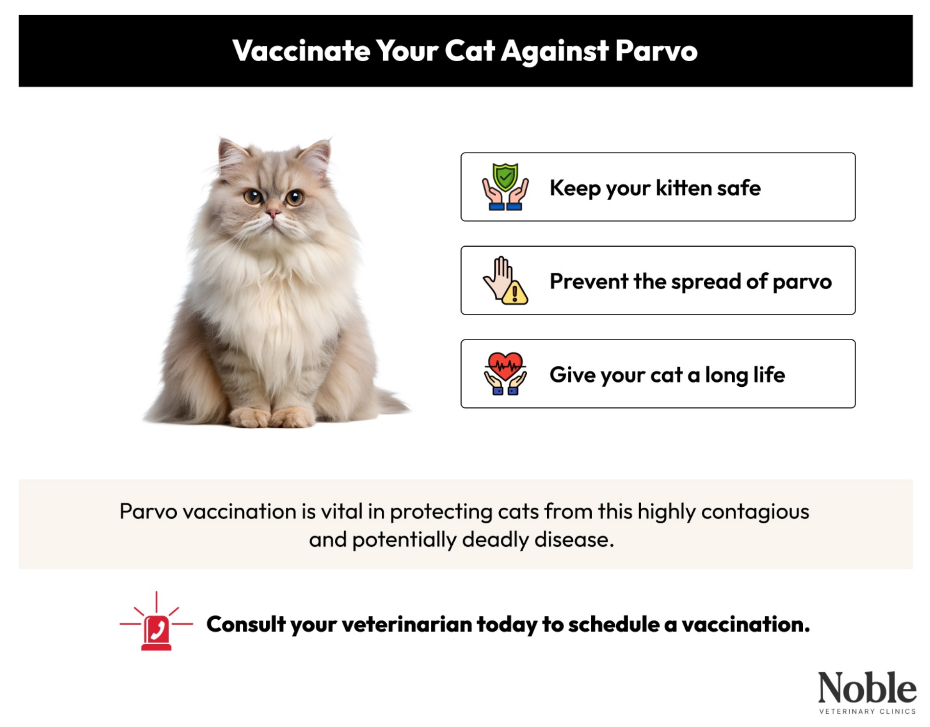 Why it's important to vaccinate your cat against parvo