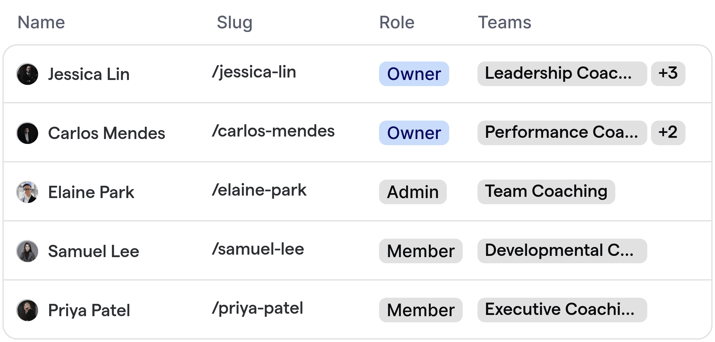 Automatisierte Routenführung für Executive Coaches, die Teammitglieder in verschiedenen Coaching-Spezialisierungen zeigen.