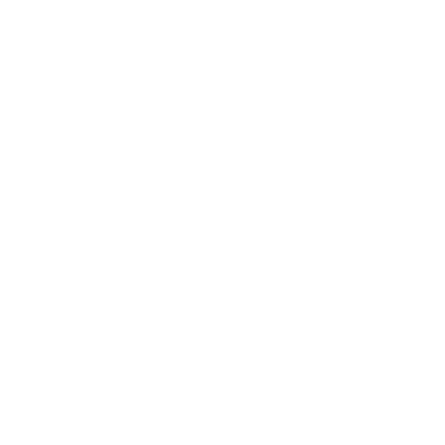 Albert's Schloss logo