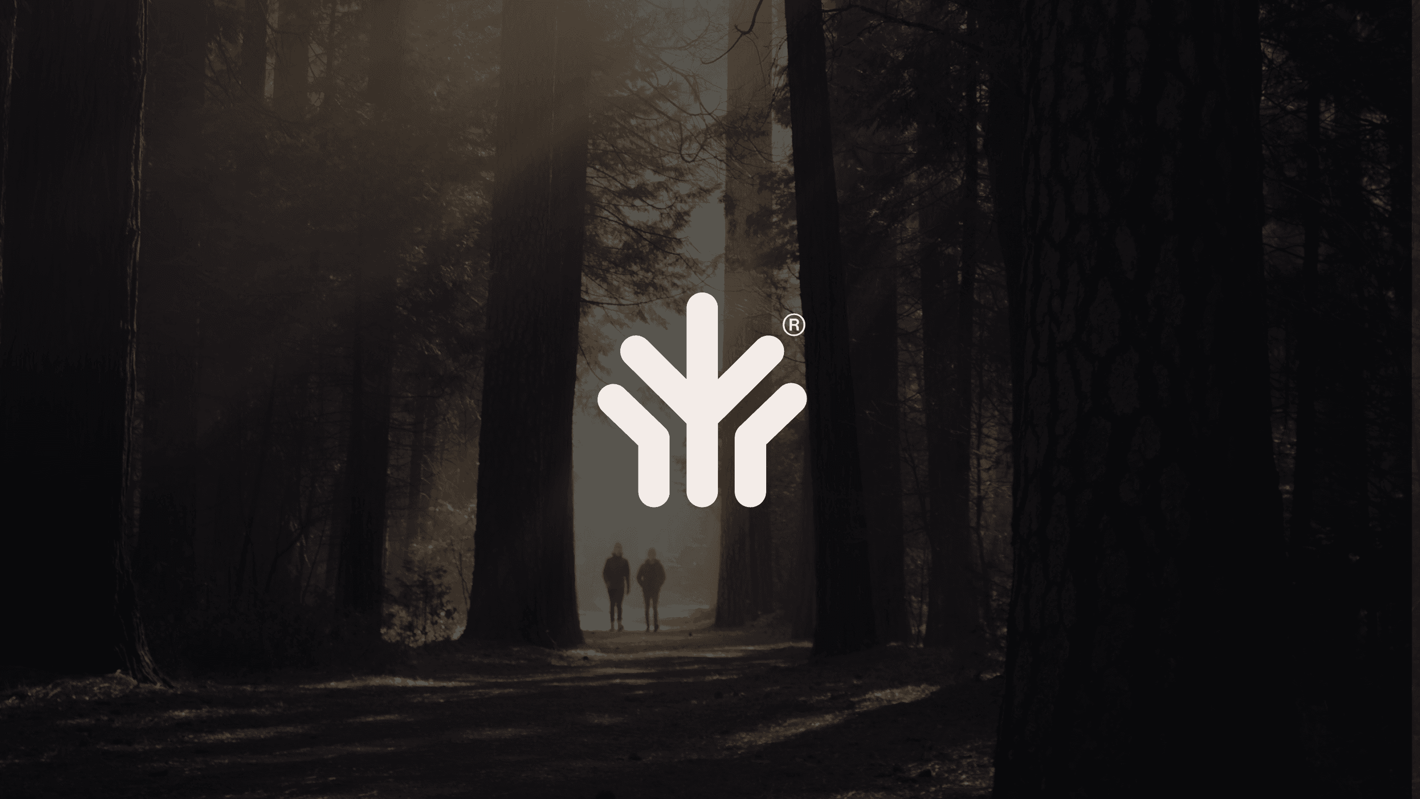 urwaldprojekt hintergrund case bild wald