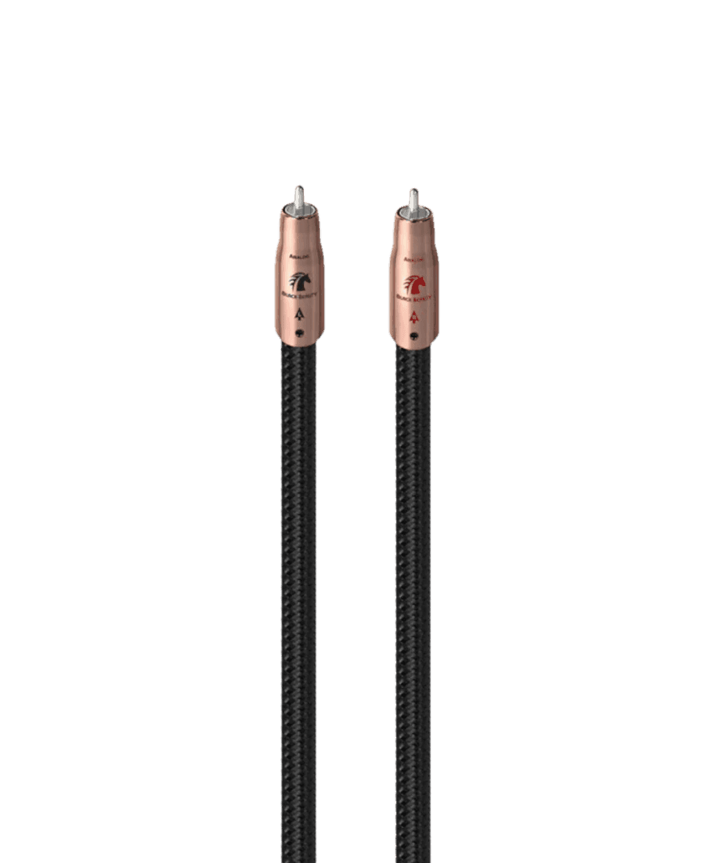 Audioquest RCA Black Beauty - Main - LE STUDIO HIFI