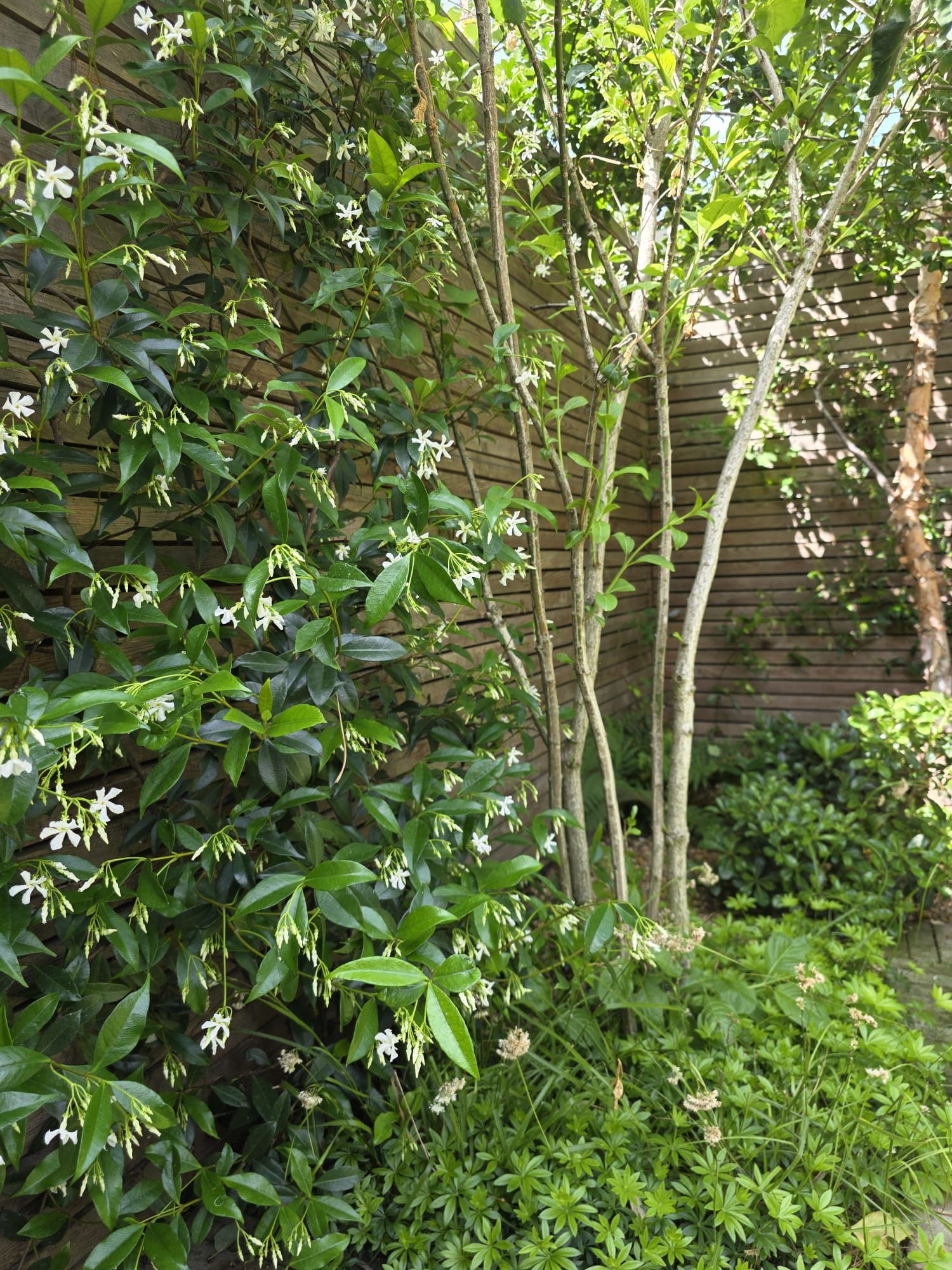 Naturalistic planting and garden design for a private residence