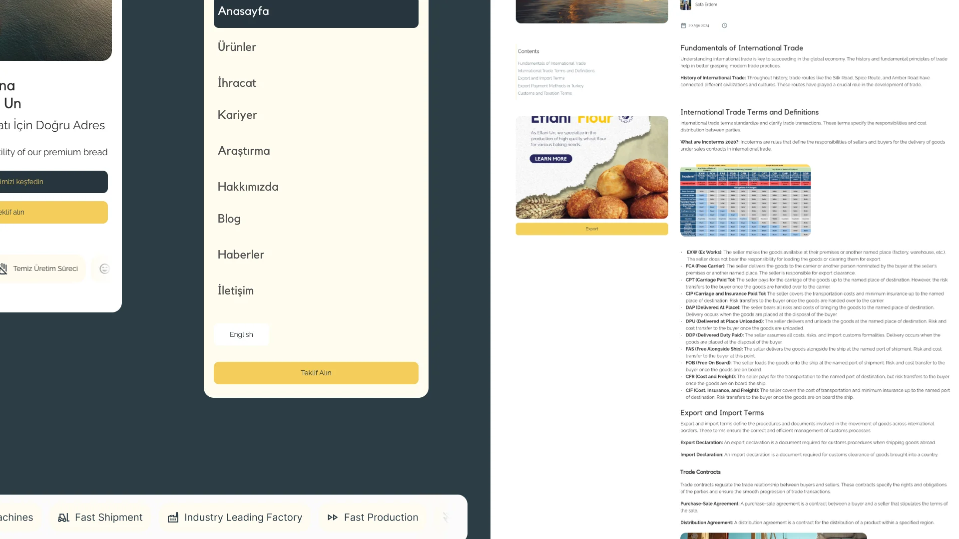Website showcase mixed 3