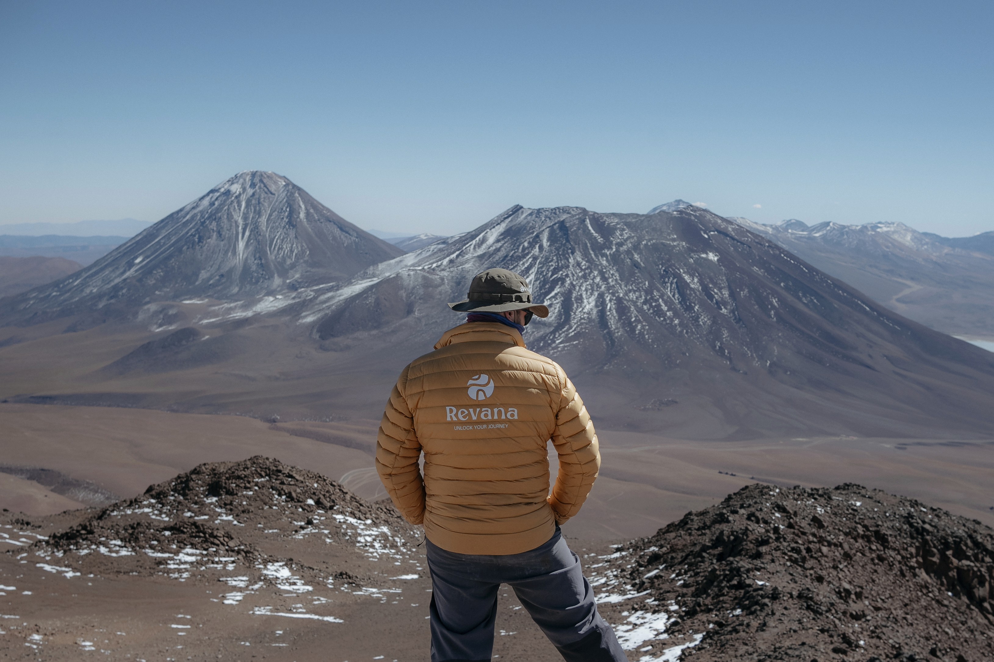 animal running on field