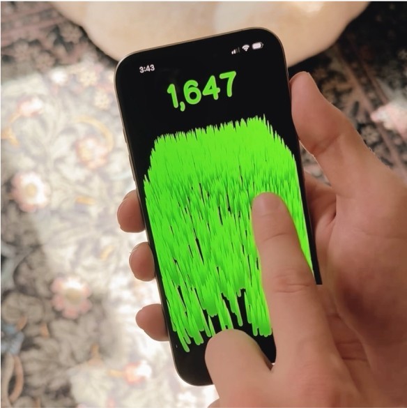 A photo of a phone screen with a score "1647" and a section of 3D grass beneath it