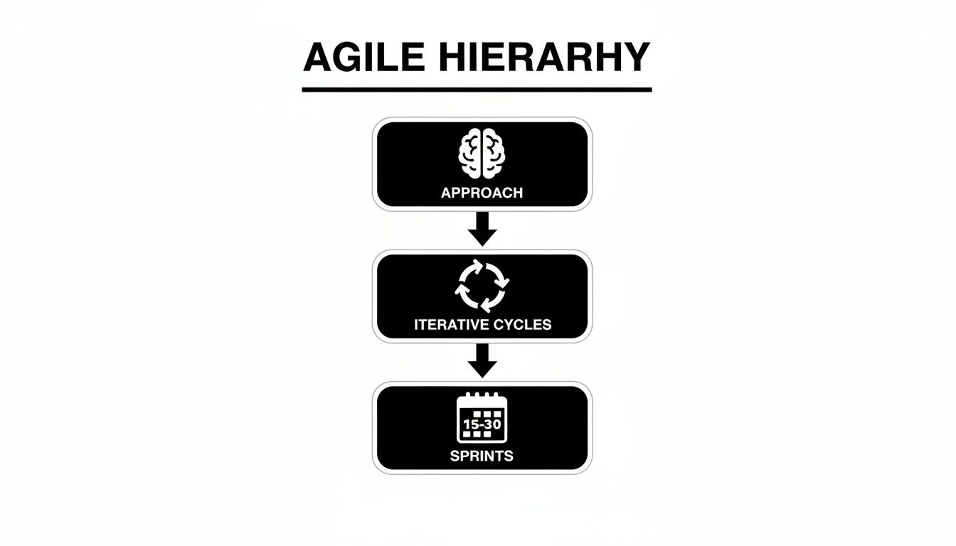 Diagram illustrating the Agile Hierarchy, showing Approach, Iterative Cycles, and Sprints.