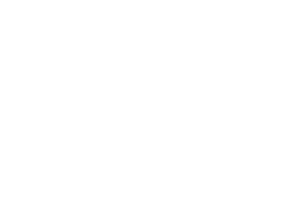 The Different Society logo