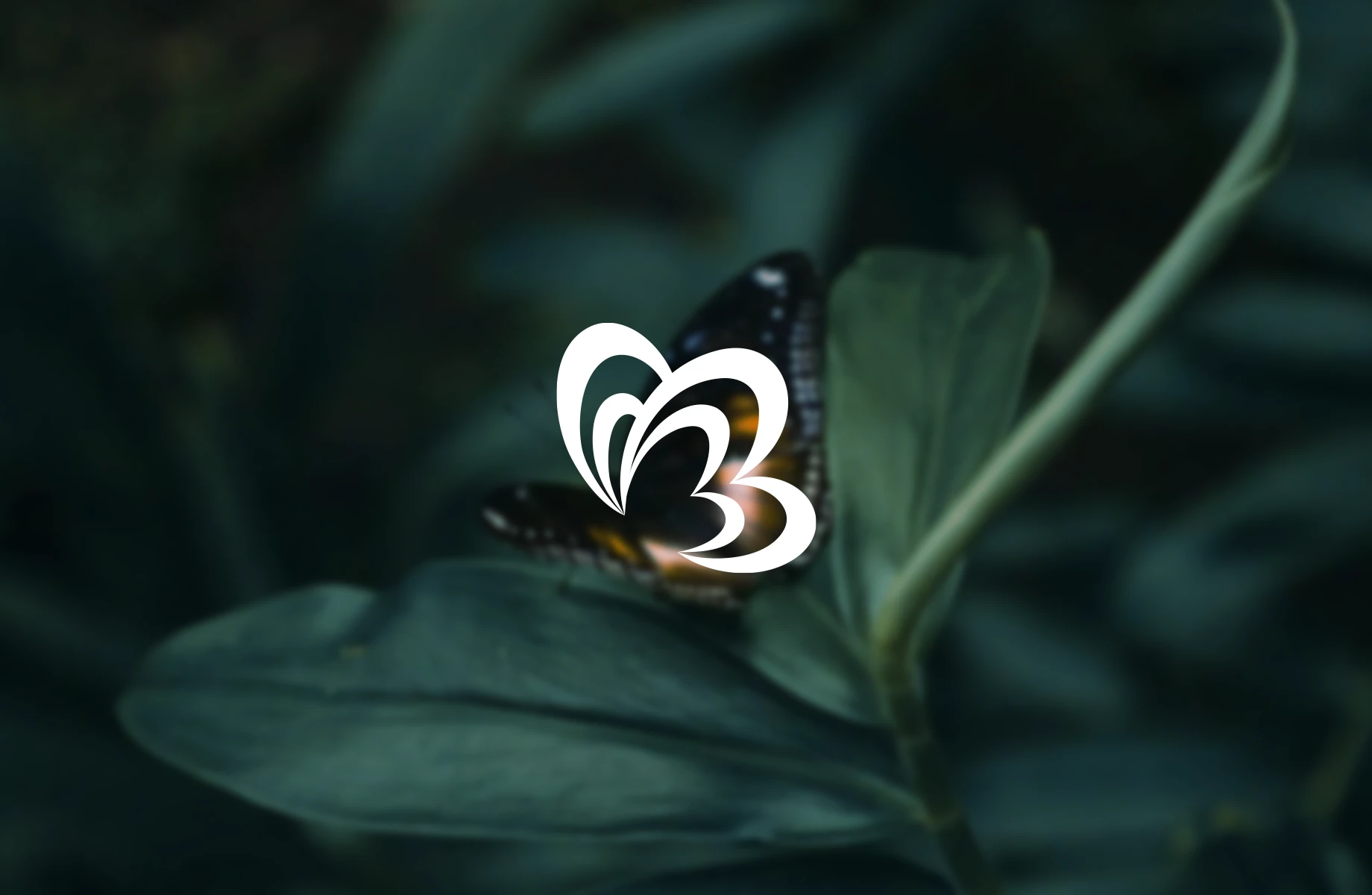 Dr. Cécile Valantin psychologist logo card – graceful butterfly motif in soft pine green and pale gold symbolising calm and transformation by Teatime Studio.